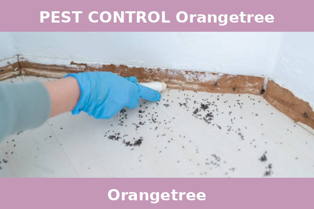 PEST CONTROL Orangetree